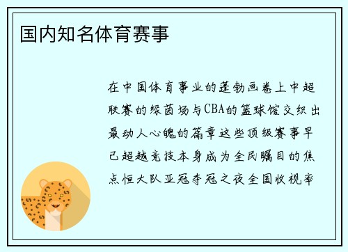 国内知名体育赛事